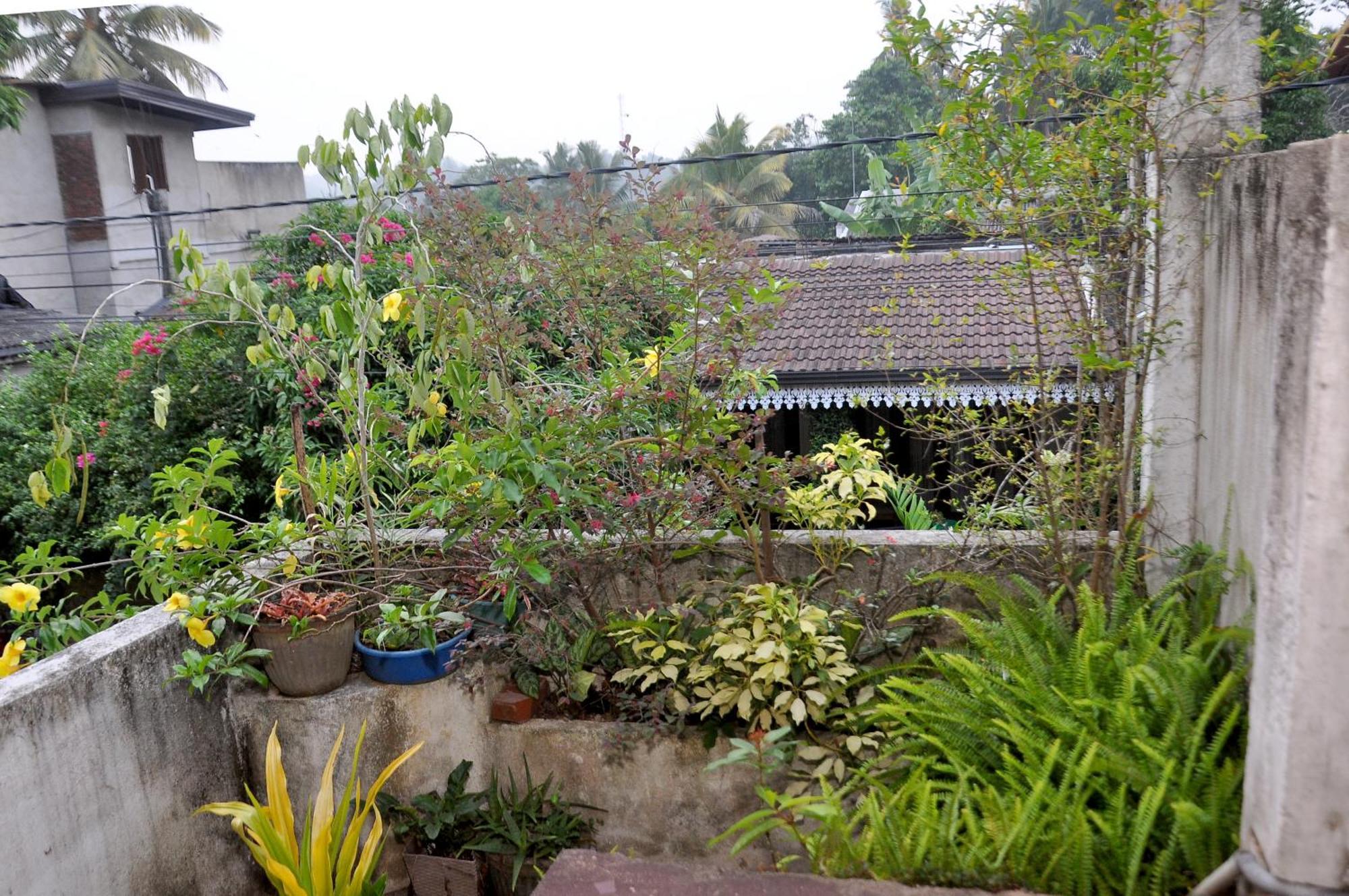 Golden Shower Inn Kandy Bagian luar foto
